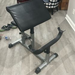 Gym Preacher Curl Bench