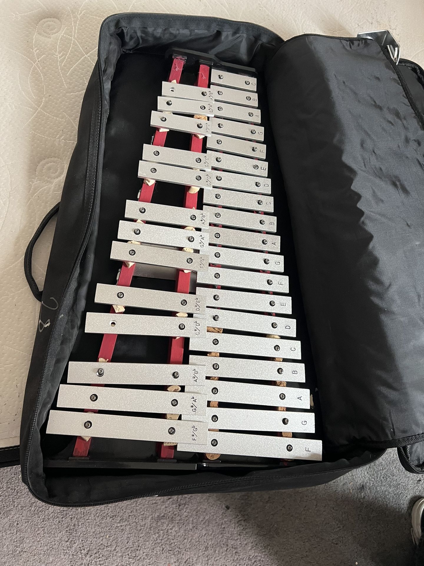 glockenspiel Also Known As A Baby He’ll