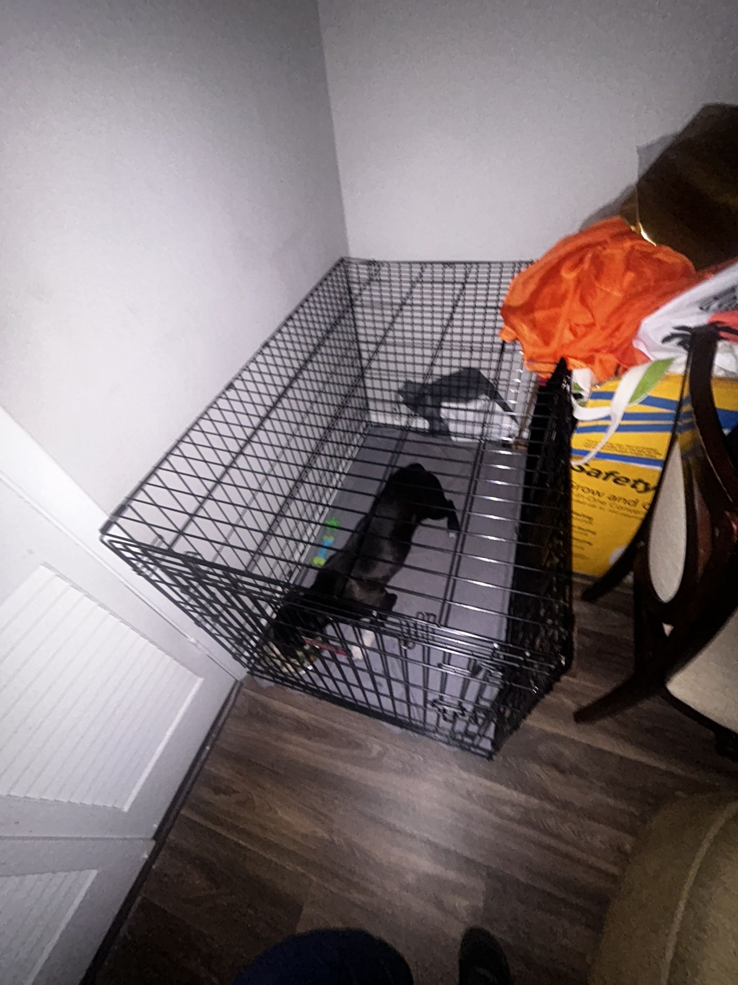 Dog Crate