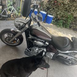 Motorcycle For Sale 