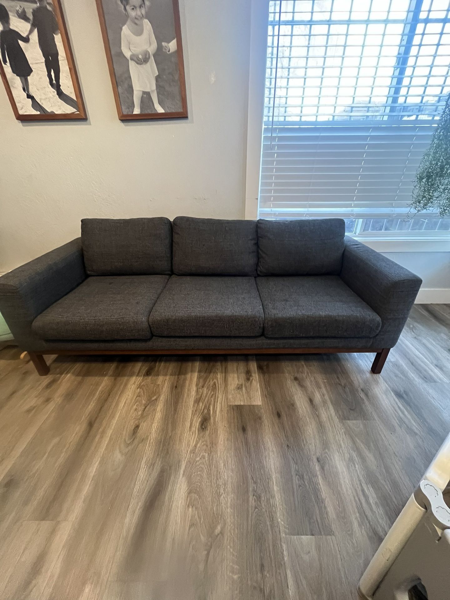 Dark Grey Couch