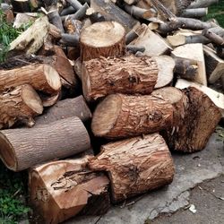 Free Fire Wood