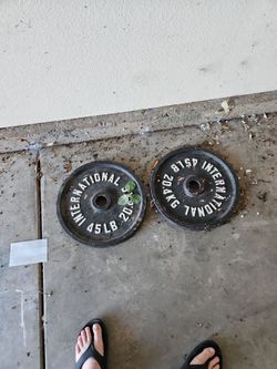 45 pound bench weight set