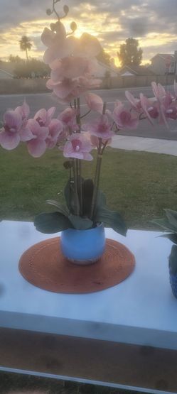 Orchid Arrangment Cofee Tables, Rugs, Decor, Roosters