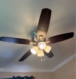 Ceiling fan