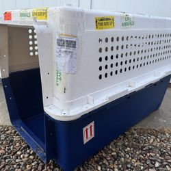 Big Dog Kennel 