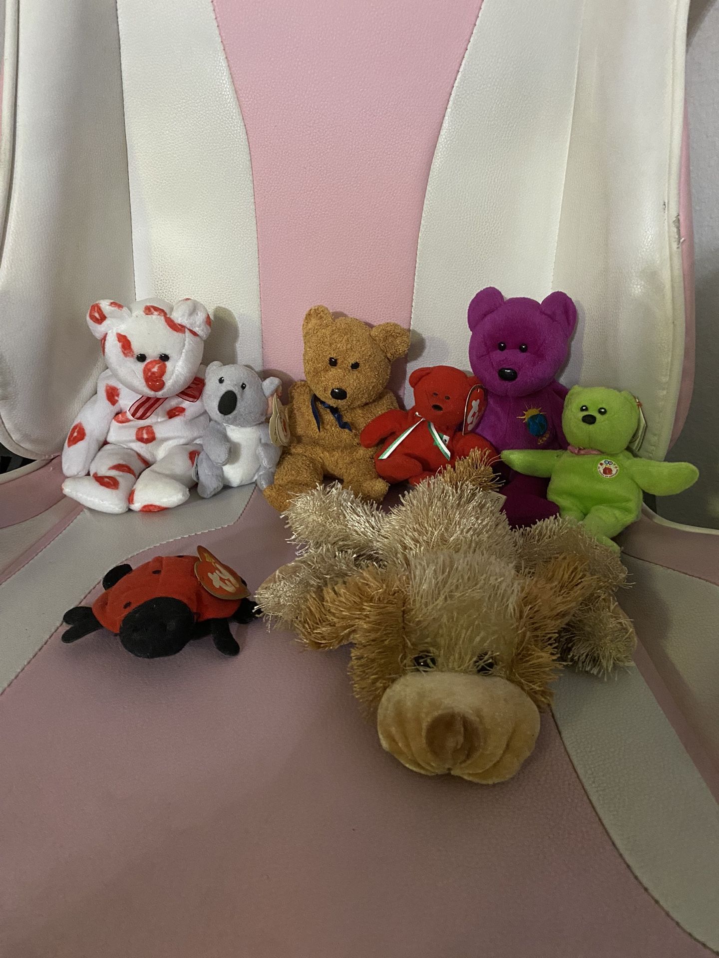 Bear Plushies