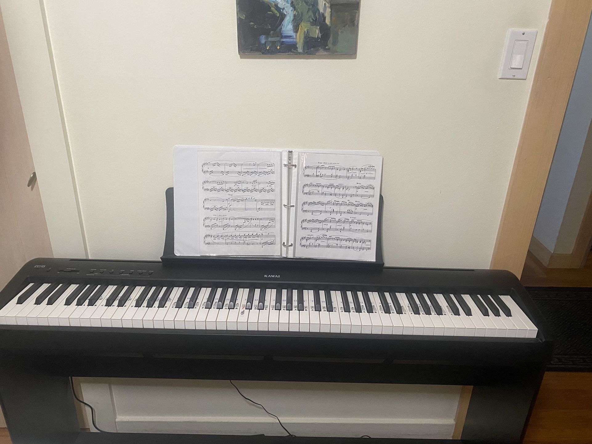 KAWAI ES110 Digital Piano