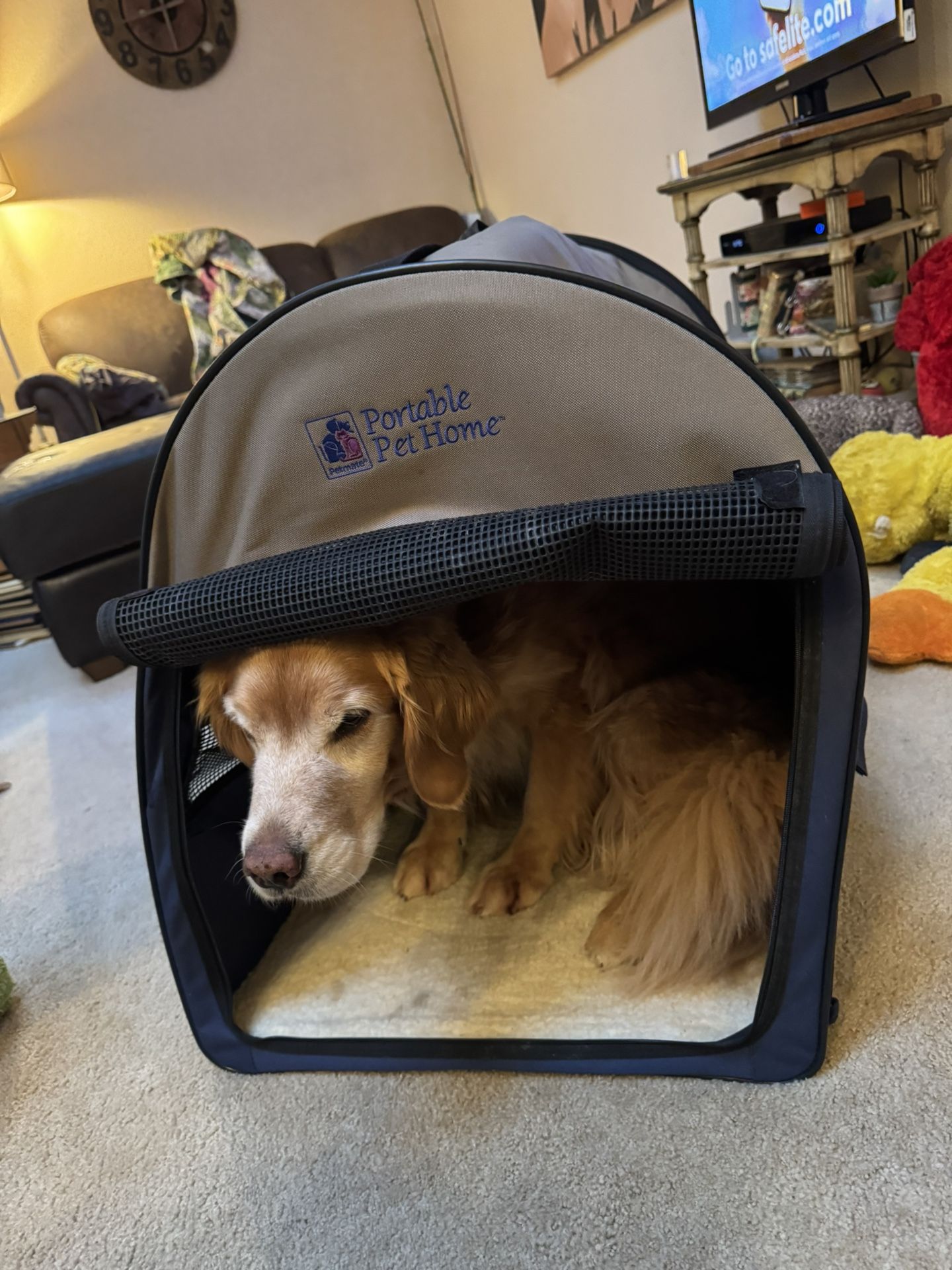 Collapsible Dog Crate