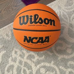 Wilson NCAA Evo NXT Basketball