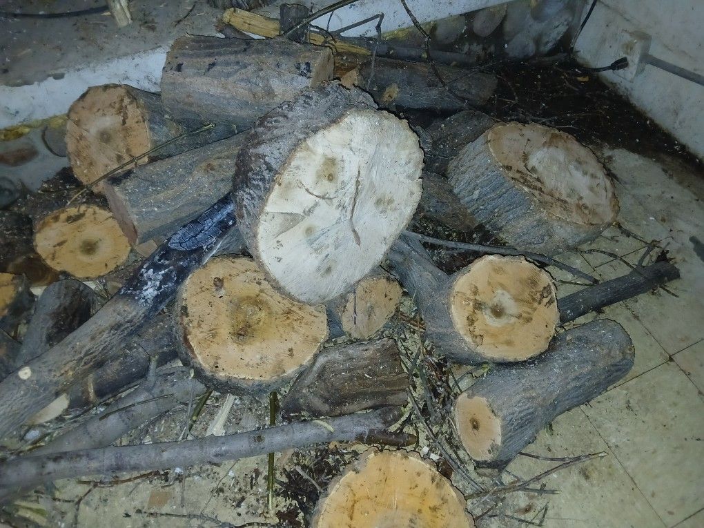 Regular Firewood 1 Cord