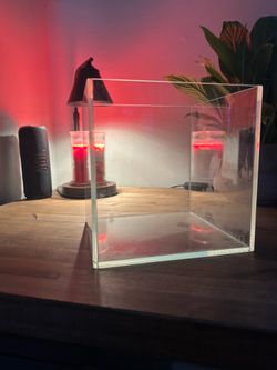 UNS systems fish tank
