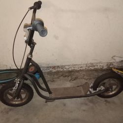 Skateboard Scooter