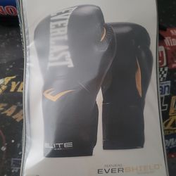 Everlast Elite Prostyle Training Gloves 12 ounces