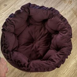 small dog beg purple velvet 