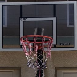 Lifetime Basketball Hoop