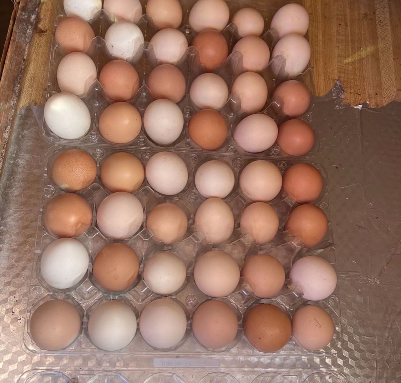Fresh Organic Eggs Dozen $6