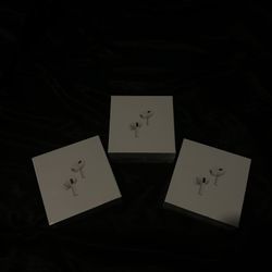 AirPodPro2