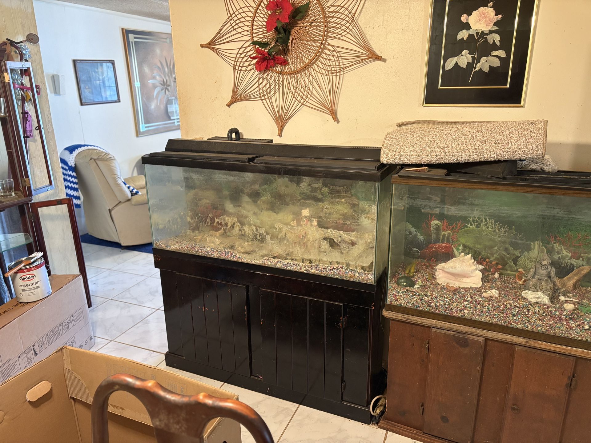 Fish Tanks