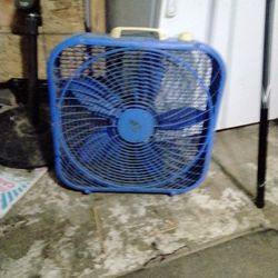 Fan