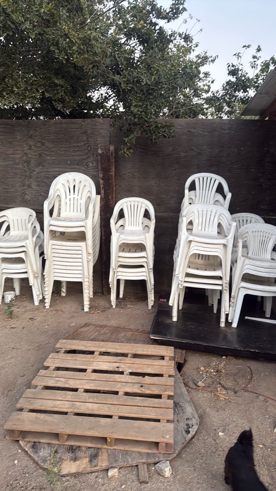En Venta Sillas de plastico