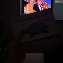 turtle silicone lamp