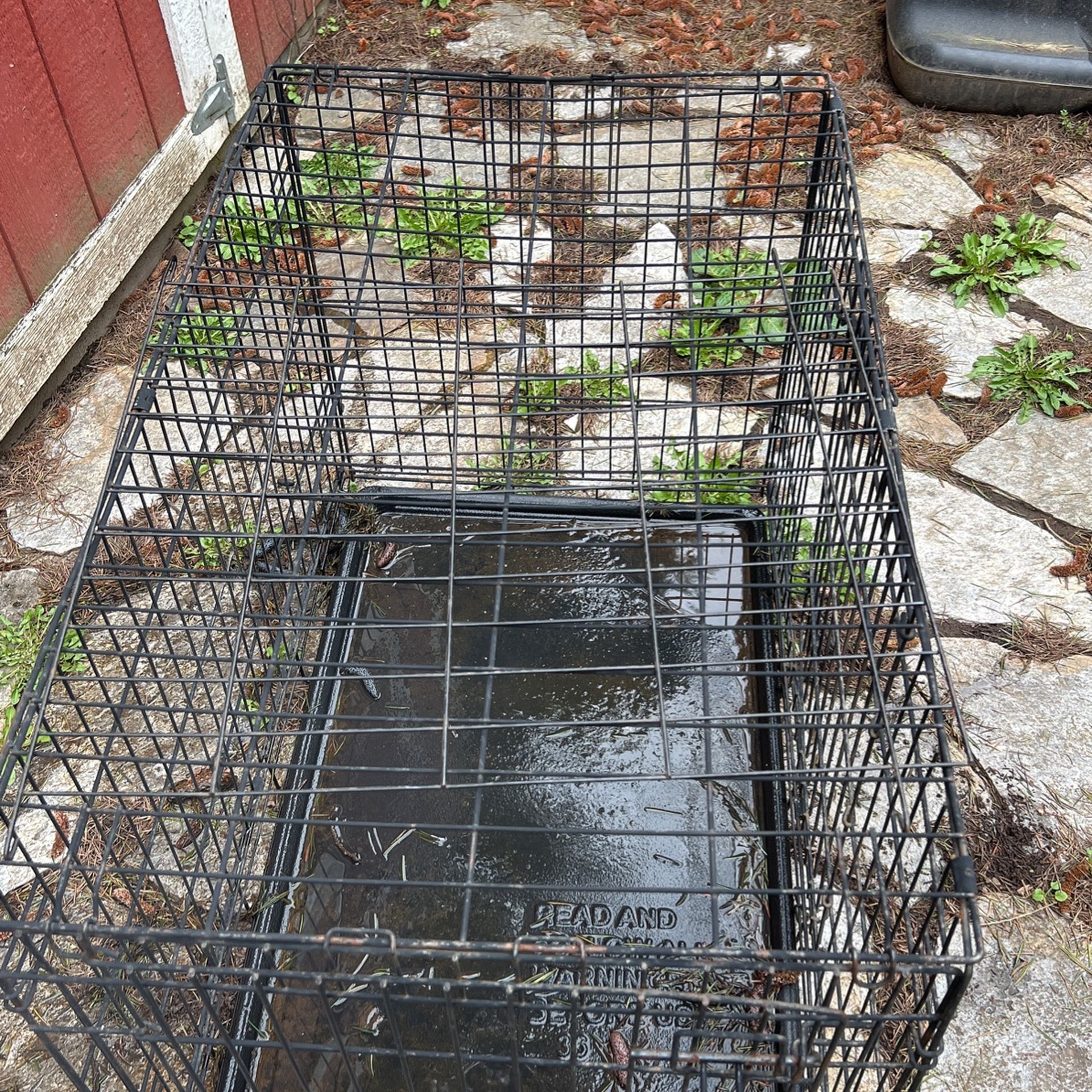 Dog Cage