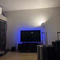 Samsung 55 Inch Tv