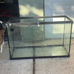 30 Gallon Fish Tank