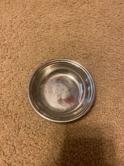 Pet water bowl brand new