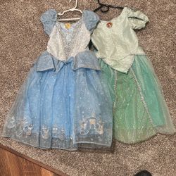 Walt Disney World/Land Cinderella And Ariel