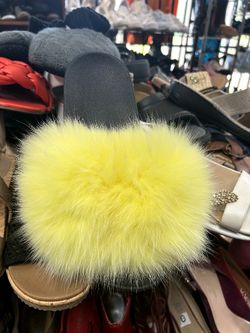 Fur Slides 