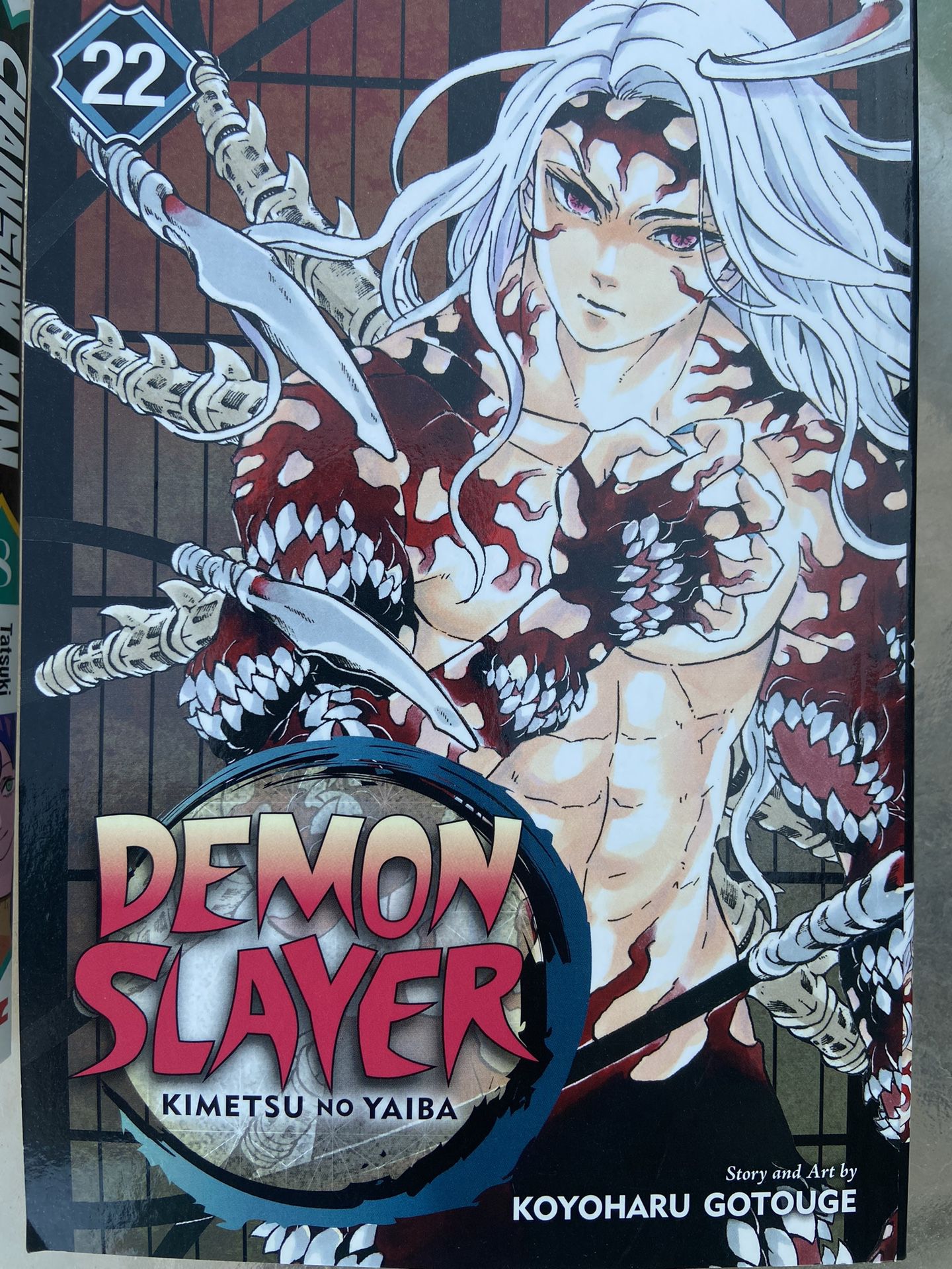 Demon Slayer Manga 