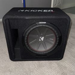 12 In Subwoofer With Amp 