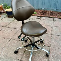 Saddle Stool Chair with Back Support and Footrest