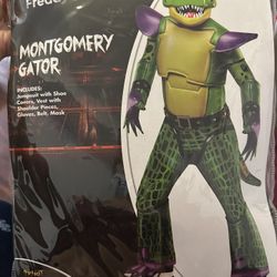 Montgomery Gator 