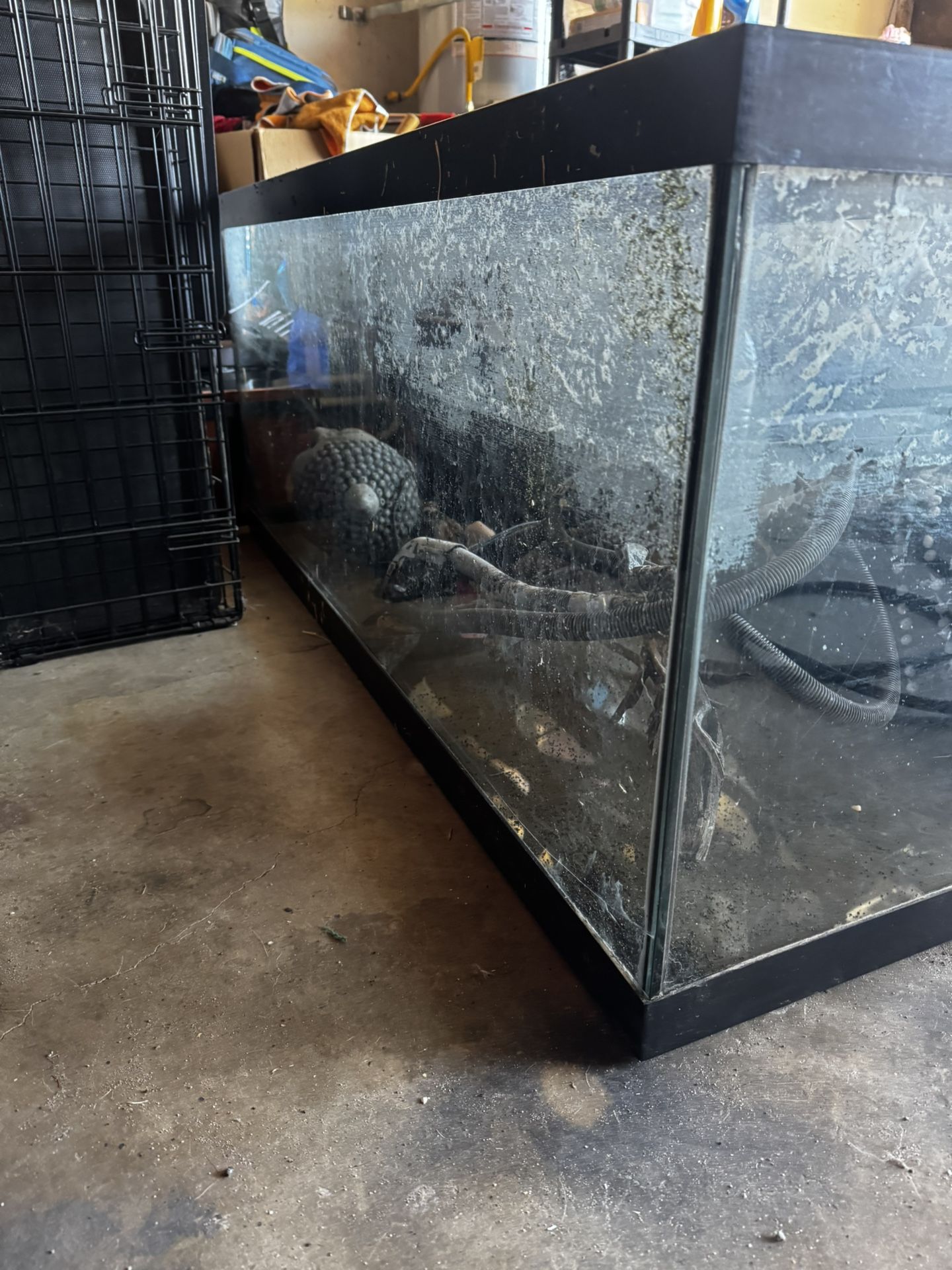 Fish tanks with Stands