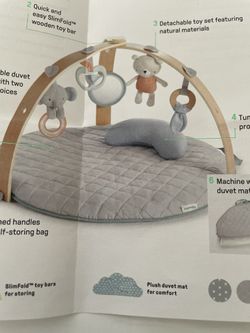 Ingenuity  Baby Activity Gym