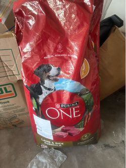 Dog food