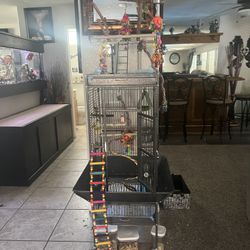 Bird Cage