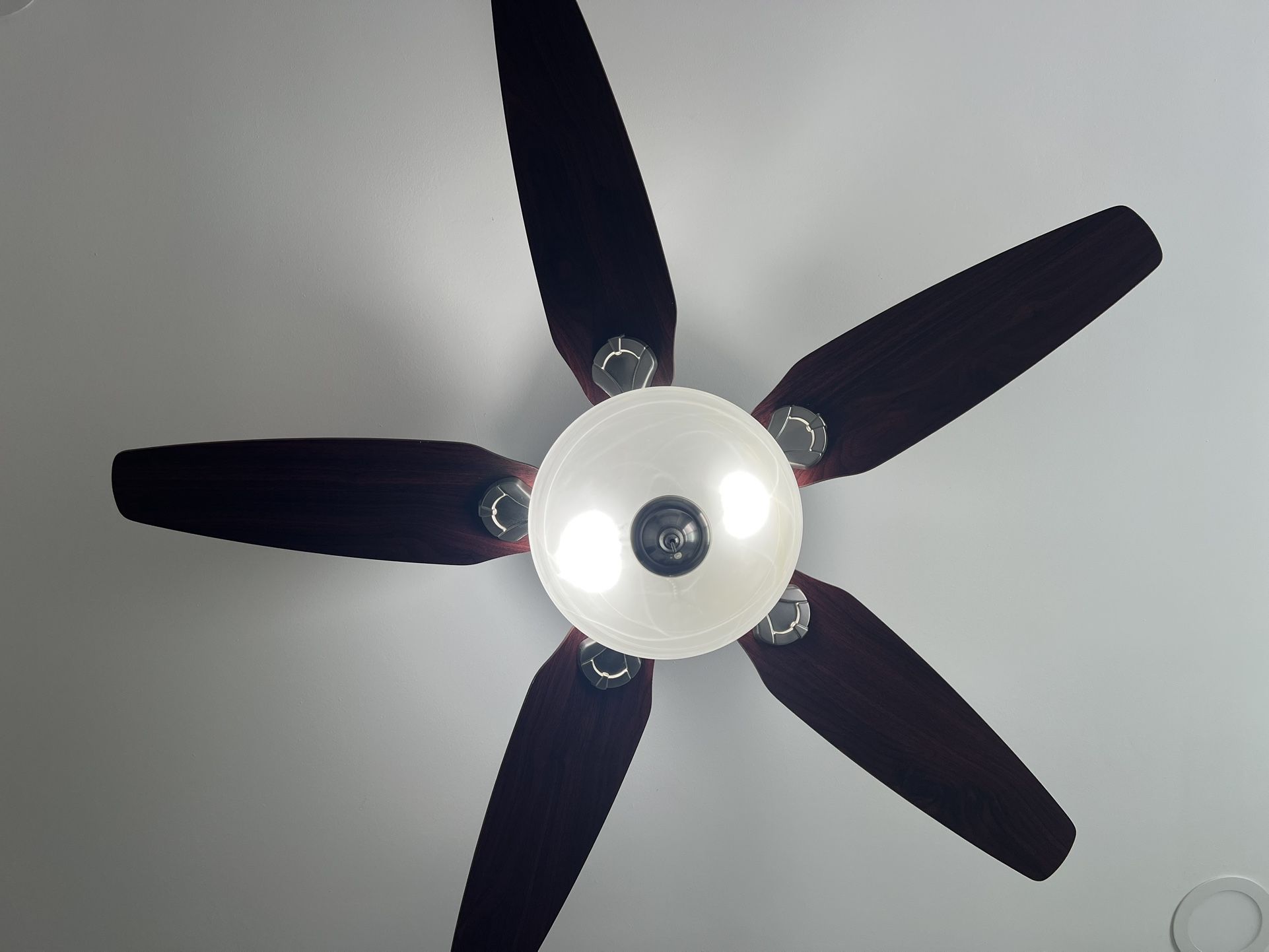Ceiling Fan 
