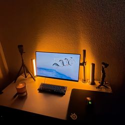 LG GAMING MONITOR