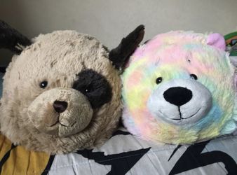 Pillow pet helmet.
