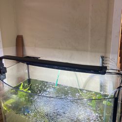 Led Light For Rimless Fish Tank 