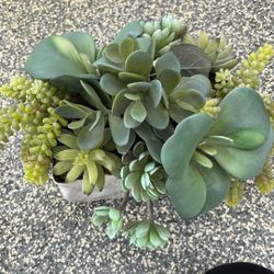 Custom Succulent Arrangement 