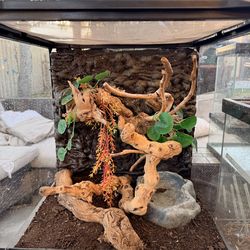 Reptile terrarium