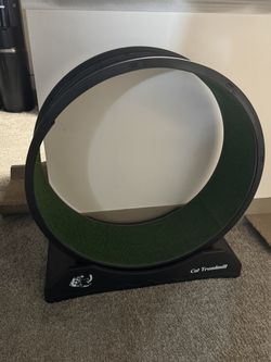Cat Treadmill