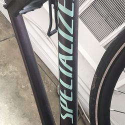 Bike Brand Specialized 