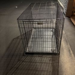Petco XL Dog Cage