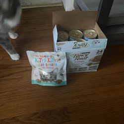 Free Cat Food